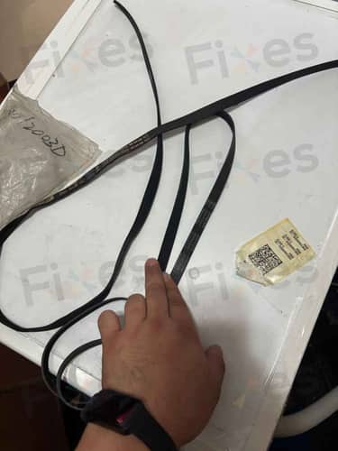 相關相片