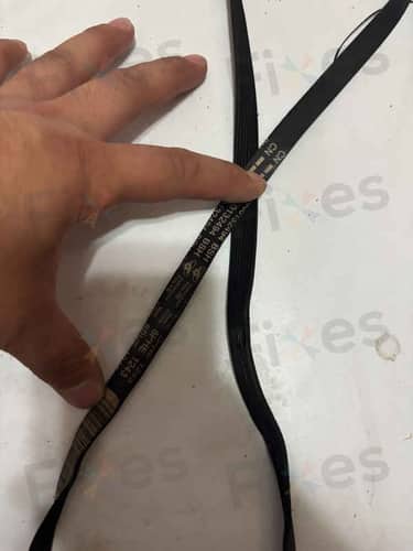 相關相片