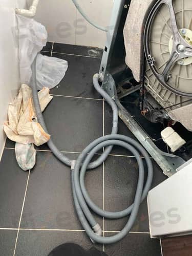 相關相片
