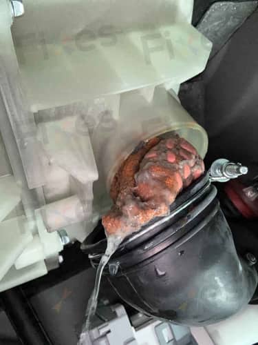 相關相片