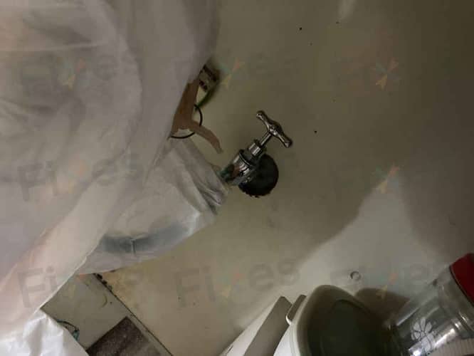 相關相片