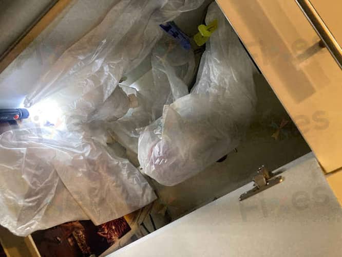 相關相片