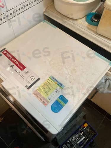 相關相片