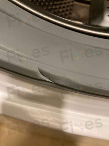 相關相片