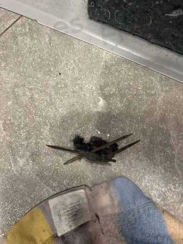 相關相片