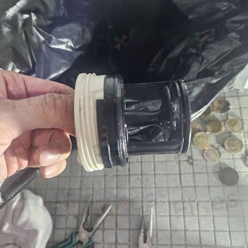相關相片