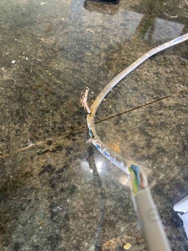 相關相片
