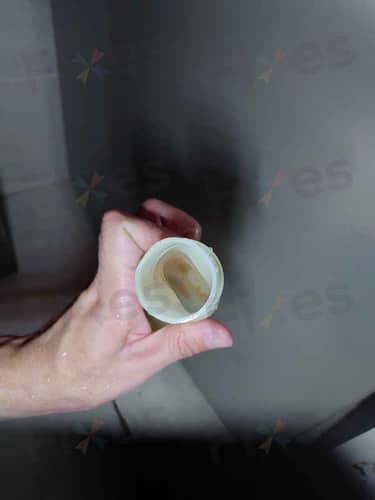 相關相片