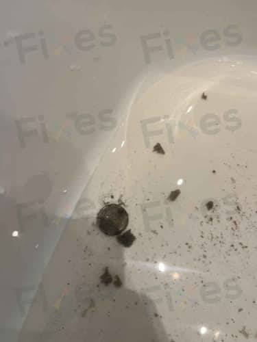 相關相片