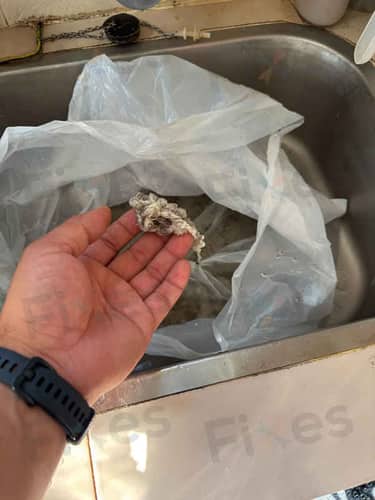 相關相片