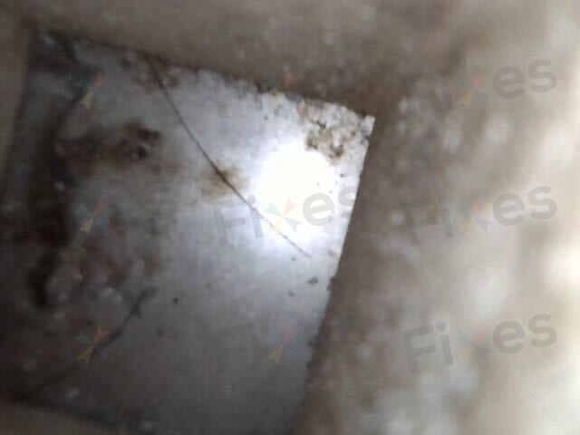 相關相片