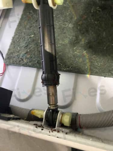 相關相片