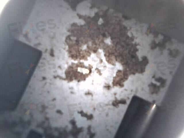 相關相片