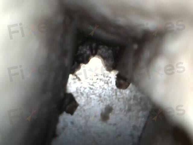 相關相片