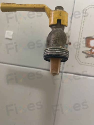 相關相片