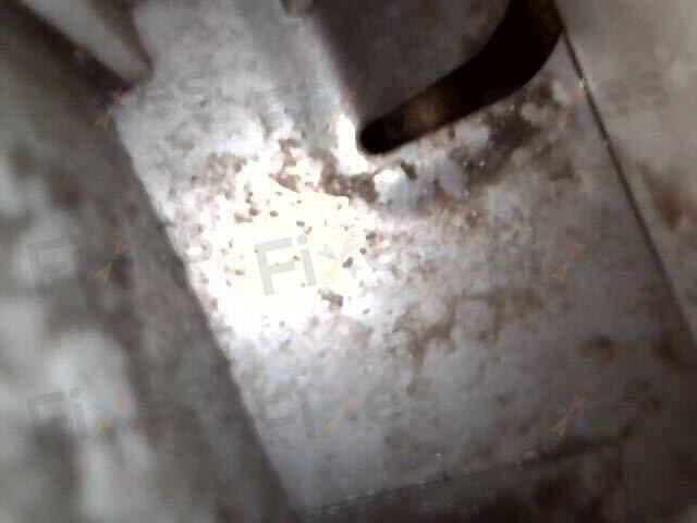 相關相片