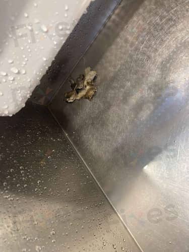 相關相片