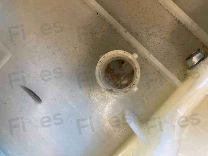 相關相片