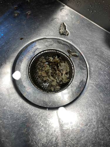 相關相片