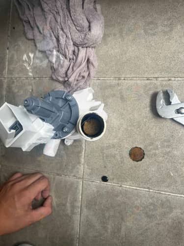 相關相片