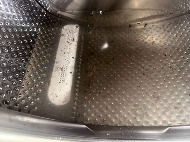 相關相片