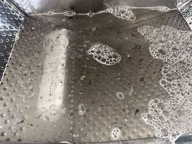 相關相片
