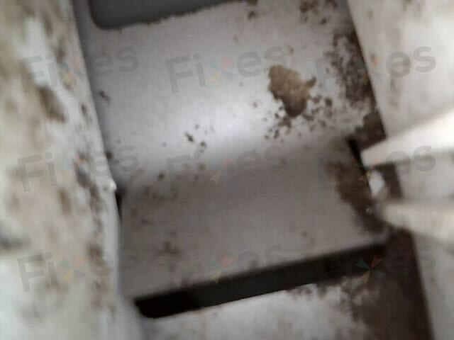 相關相片