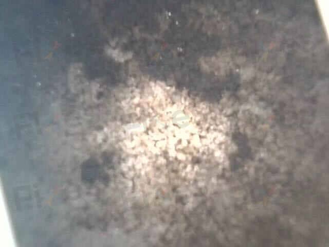 相關相片