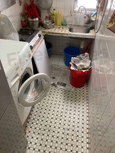 相關相片