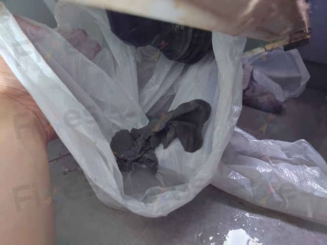 相關相片