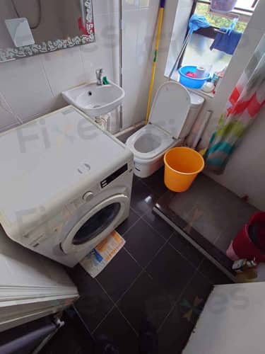 相關相片