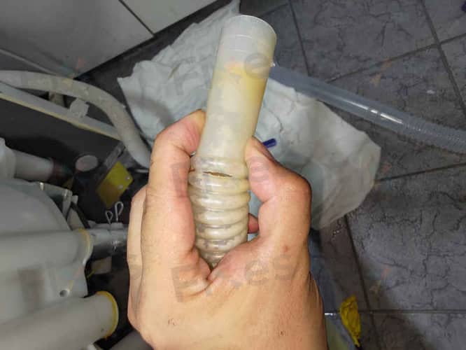 相關相片