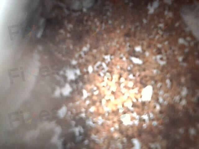相關相片