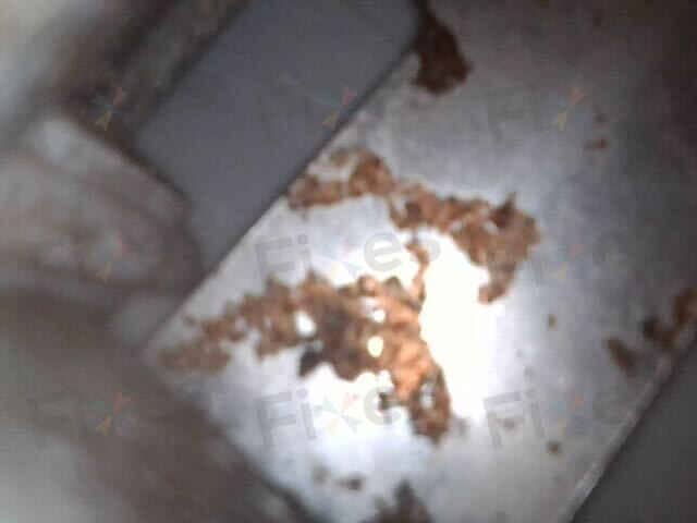 相關相片
