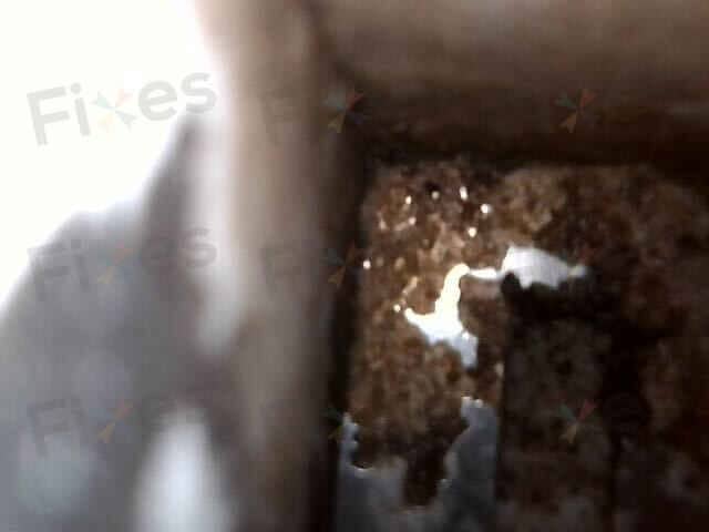 相關相片