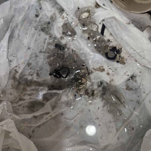 相關相片