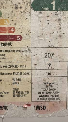 相關相片
