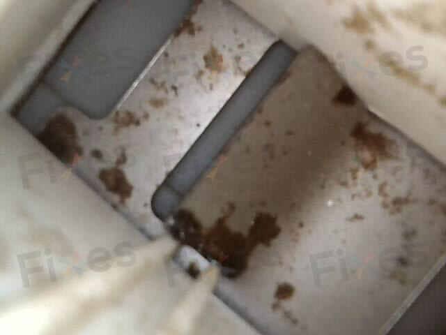 相關相片