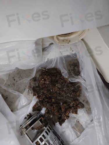 相關相片