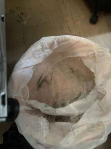 相關相片
