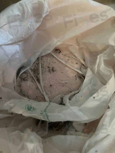 相關相片