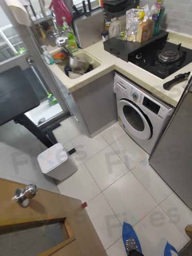 相關相片