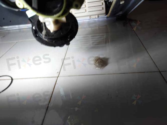 相關相片
