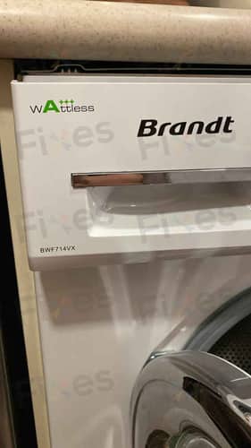 相關相片