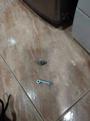 相關相片