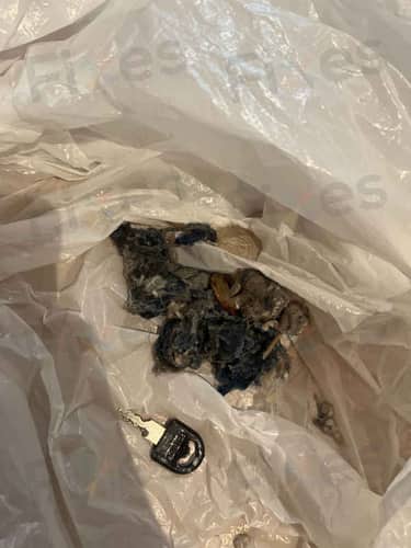 相關相片
