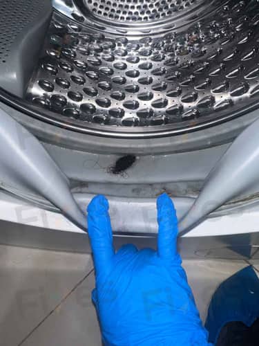 相關相片