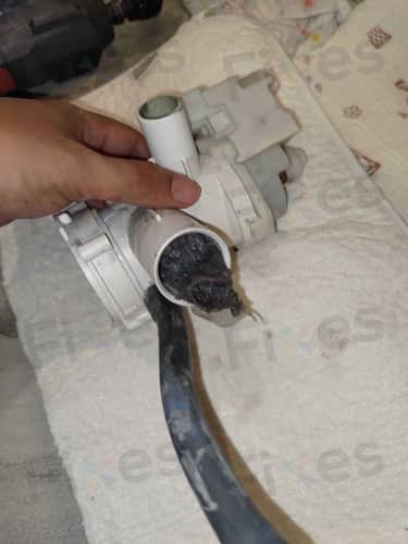 相關相片
