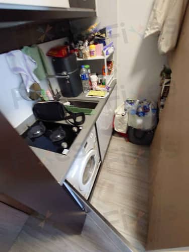 相關相片