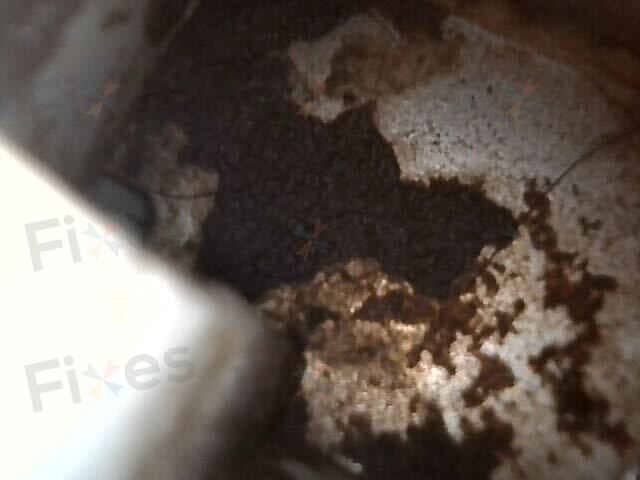 相關相片